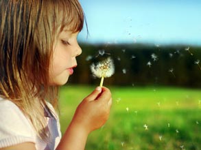 Young girl blowing on a dandelion