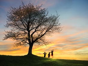 3 children frolicing under a large tree at sunset